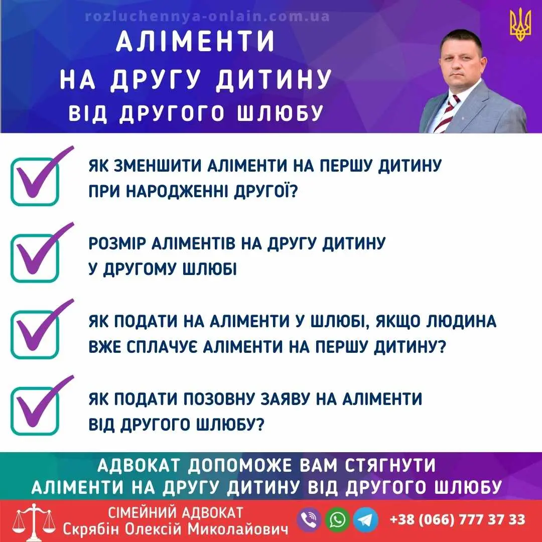 Аліменти на другу дитину від другого шлюбу: порядок стягнення та розмір виплат