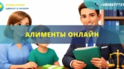Алименты онлайн Украина подача заявления в суд и взыскание алиментов дистанционно