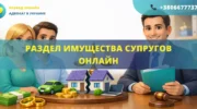 Раздел имущества супругов онлайн Украина помощь адвоката