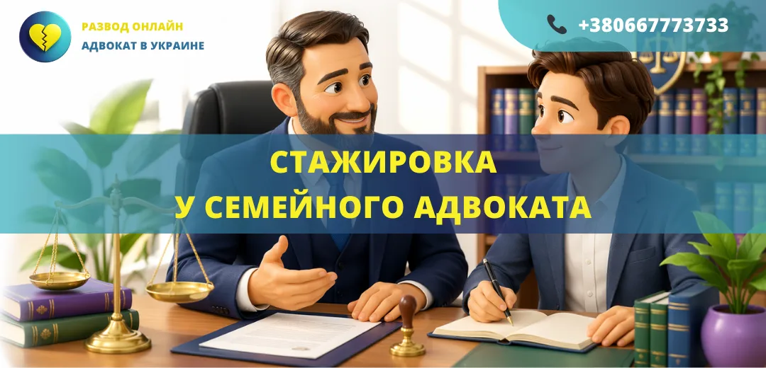 Стажировка у семейного адвоката с практикой по семейным и судебным делам