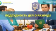 Подсудность дел о разводе в Украине определение суда и территориальной подсудности