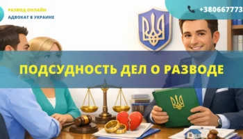 Подсудность дел о разводе в Украине определение суда и территориальной подсудности