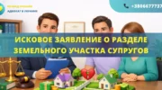 Исковое заявление о разделе земельного участка супругов для подачи в суд