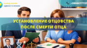Установление отцовства после смерти отца через суд с участием адвоката