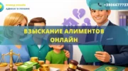Взыскание алиментов онлайн через суд с помощью семейного адвоката